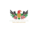 pymesdemexico.com